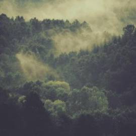 Audi, RS Q3 Sportback