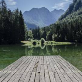 Procie avto, Procie inomarki