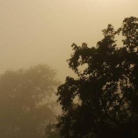 Mitsubishi, Galant Fortis