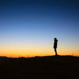 Great Wall, Voleex C30