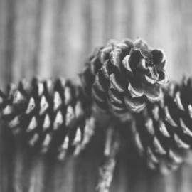 Piaggio, Grand C4 Picasso