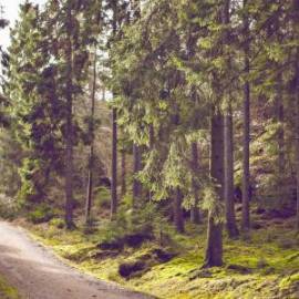 Mercedes-Benz, G-klasse AMG