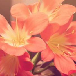 £ 32,000, Yamaha, MX 175 B, Maxi-Scooter, 550cc