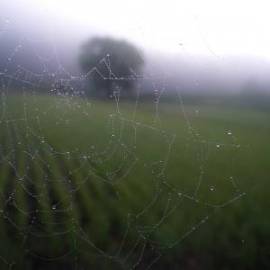 £ 25,800, Peugeot, Kisbee 50 Active, Naked Bike, 650cc, Diesel Hybrid