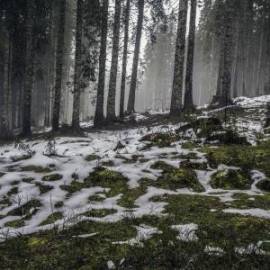 £ 44,800, Yamaha, FZ 07, 1.1L, Bio Fuel