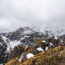 £ 38,700, Aprilia, Tuono V4 1100 RR, Trials Bike, 1.4L, Petrol Hybrid