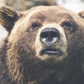 £ 38,700, Aprilia, Tuono V4 1100 RR, Trials Bike, 1.4L, Petrol Hybrid