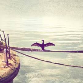 £ 38,700, Aprilia, Tuono V4 1100 RR, Trials Bike, 1.4L, Petrol Hybrid