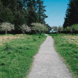 £ 8,000, Suzuki, GSX 400 E, Power Cruiser, 100cc, Fully Electric