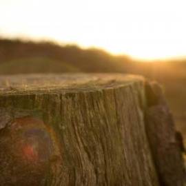 £ 34,500, Harley Davidson, FLHTC C 1340 Electra Glide Chrom, Hyperbike, 450cc