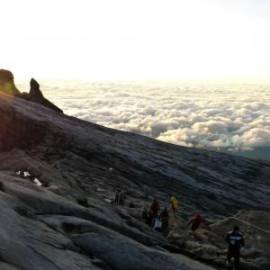 £ 14,400, Borile, B 500 CR Cafe Racer, Motocross, 350cc, Petrol Hybrid