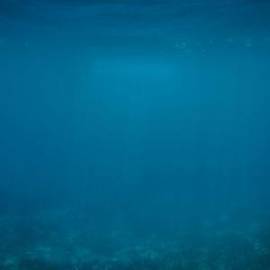 £ 17,700, Honda, BeAT FI, Café Racer, 50cc, Diesel Hybrid