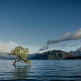 £ 17,700, Honda, BeAT FI, Café Racer, 50cc, Diesel Hybrid