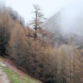 £ 35,800, Confederate, P120 Fighter, Sportbike, 350cc, Diesel Hybrid