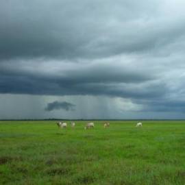 £ 45,900, Linhai, LH300T 17, 1.1L, LPG Hybrid