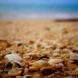 £ 22,000, AJS, Cadwell 125, 200cc, Diesel Hybrid