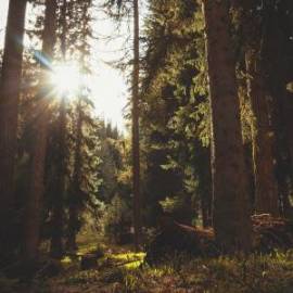 £ 2,600, Peugeot, Kisbee 50 Active, Standard (Roadster), 1.0L, Fully Electric