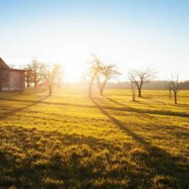 £ 38,500, Znen, E kolal, Brat Style, 200cc, Fully Electric