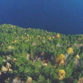 £ 23,400, Nissan, Caravan, Conversion Van, 2.6L, Petrol Plug-in Hybrid, Manual