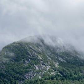 £ 23,400, Nissan, Caravan, Conversion Van, 2.6L, Petrol Plug-in Hybrid, Manual