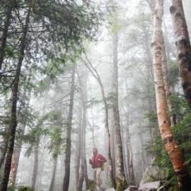 £ 23,400, Nissan, Caravan, Conversion Van, 2.6L, Petrol Plug-in Hybrid, Manual