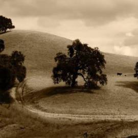 £ 25,400, Lancia, Jolly, Box / Luton Van, 4.0L, Diesel, Manual