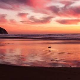 £ 41,300, Keyton, V60, Cargo Van, 7.0L, Petrol Plug-in Hybrid, Semi-Automatic