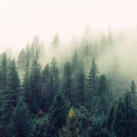 £ 31,500, Citroën, 2CV, Conversion Van, 2.2L, Petrol Hybrid, Semi-Automatic