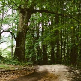 £ 15,600, Citroën, Spacetourer, Panel Van, 3.0L, Bio Fuel, Manual