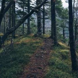 £ 26,900, Nissan, Scargo, 5.5L, Fully Electric, Semi-Automatic