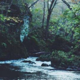 £ 38,600, RAF, Microvan, 7.0L, LPG Hybrid, Semi-Automatic