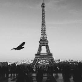 £ 6,400, Daihatsu, Newline, Conversion Van, 4.5L, Diesel, Automatic