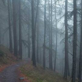 £ 17,200, King-Long, Kairui, Crew Van, 6.0L, Petrol Plug-in Hybrid, Manual