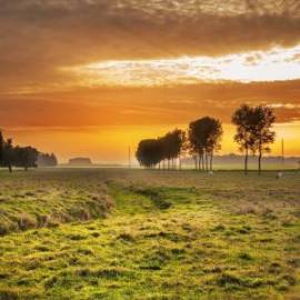 £ 39,500, DAF, 33, Conversion Van, 3.0L, Diesel Plug-in Hybrid, Semi-Automatic