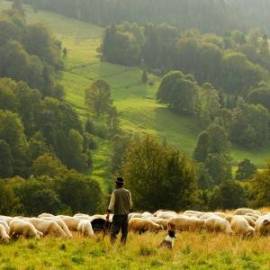 £ 25,600, AS, S2, Passenger Van, 2.0L, Fully Electric, Manual