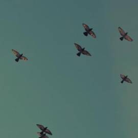 £ 4,100, LDV, Pilot, Passenger Van, 6.0L, Petrol Plug-in Hybrid, Manual