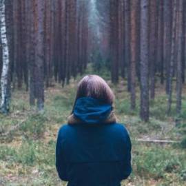 £ 2,700, Nissan, Gloria, Conversion Van, 1.2L, Diesel Plug-in Hybrid, Manual