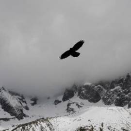 £ 29,200, Lancia, Ardea, Microvan, 4.0L, Petrol, Semi-Automatic