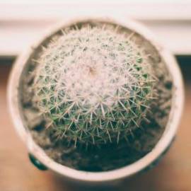 £ 27,400, RAF, 977, Camper Van, 7.0L, Diesel Plug-in Hybrid, Automatic