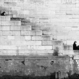 £ 6,800, Dongfeng, Ruitaiteem16, Box / Luton Van, 2.2L, LPG Hybrid, Semi-Automatic