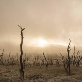 £ 6,200, Toyota, Sprinter, Cargo Van, 6.5L, Petrol, Semi-Automatic