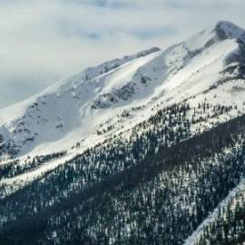 £ 37,600, Morris, FE, Crew Van, 2.6L, Petrol Plug-in Hybrid, Automatic