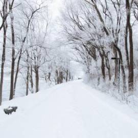 £ 4,600, Volkswagen, Transporter(T6), Passenger Van, 2.2L, Fully Electric, Manual