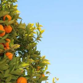 £ 44,800, Trabant, 601, Conversion Van, 1.4L, Diesel Hybrid, Automatic