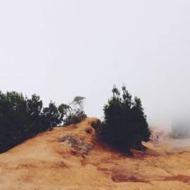 £ 40,700, Fiat, 600, Microvan, 6.0L, Petrol Plug-in Hybrid, Automatic