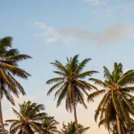 £ 8,900, Citroën, Jumpy, Box / Luton Van, 1.0L, Petrol Plug-in Hybrid, Manual