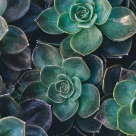 £ 8,900, Chevrolet, Express, Passenger Van, 2.2L, LPG, Manual