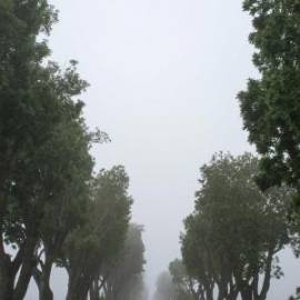 £ 7,400, De-Luxe, Ford, Cargo Van, 1.9L, Petrol Hybrid, Automatic