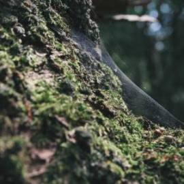 £ 32,500, Dongfeng, Tianlai, Camper Van, 3.5L, Petrol Hybrid, Semi-Automatic