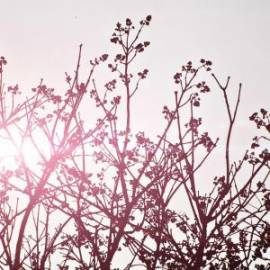 £ 43,100, Peugeot, Boxer, Minivan, 3.5L, Petrol Hybrid, Manual